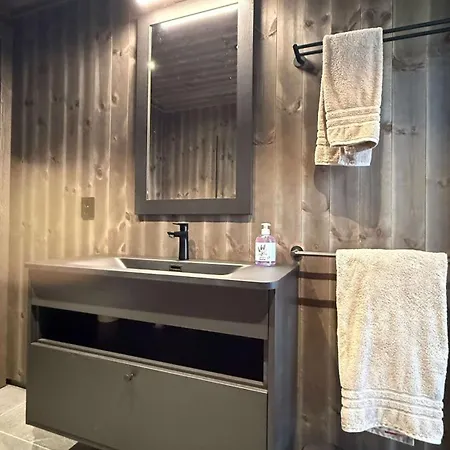 Felsener - Luxury With Hottub And Sauna Nesbyen